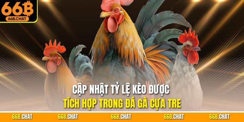 Cập nhật tỷ lệ kèo được tích hợp trong đá gà cựa tre