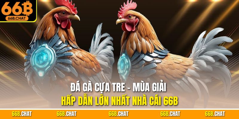 Đá Gà cựa tre - Mùa Giải Hấp Dẫn Lớn Nhất Nhà Cái 66B