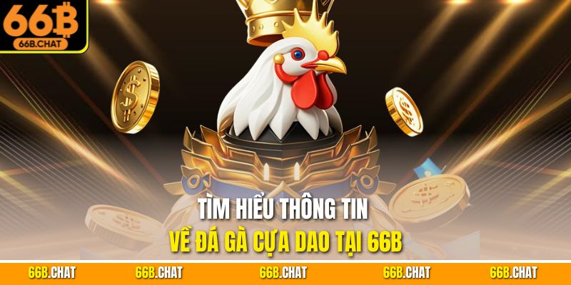 Tìm hiểu thông tin về đá gà cựa dao tại 66B